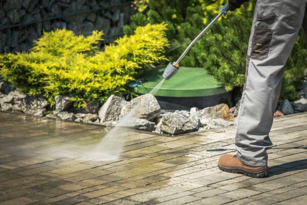 Best Driveway Pressure Washing  in Shingletown, CA