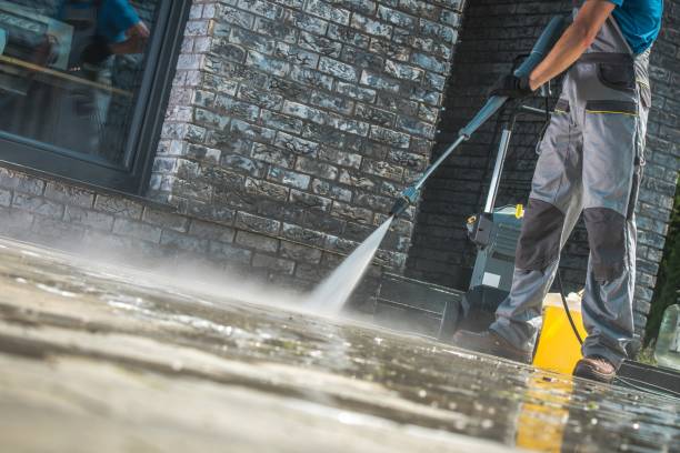 Animal Enclosure Cleaning in Shingletown, CA